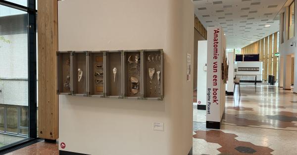 Foto van expositie Brigitte Picavet Anatomie van een boek